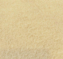 Ковролин Sommer Needlepunch Exposhow Exposhow Ivory 9506 фото 1 | FLOORDEALER